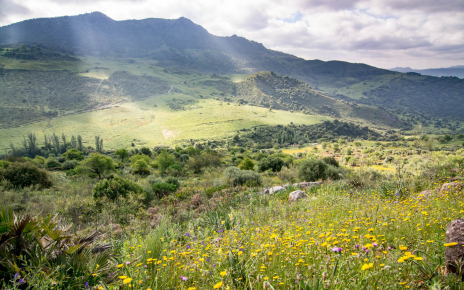 Su ubicación en el Parque Natural de Grazalema